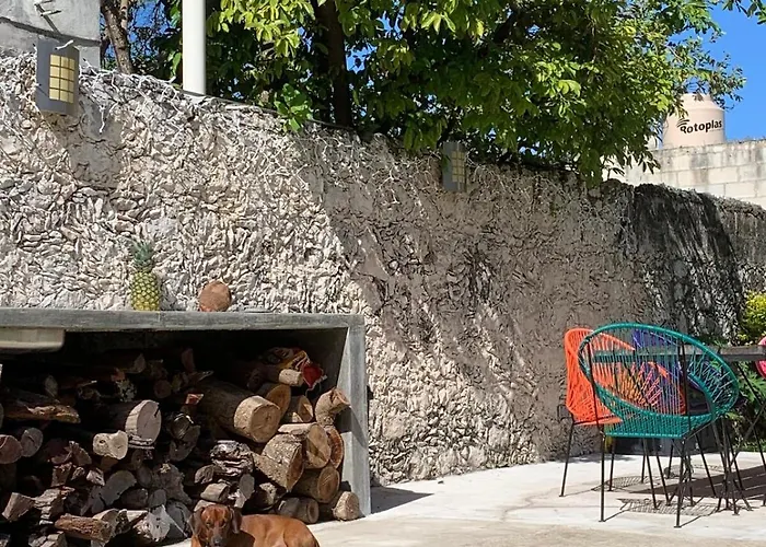 Coco 2 Spacious Downtown With Garden Apartamento Cozumel